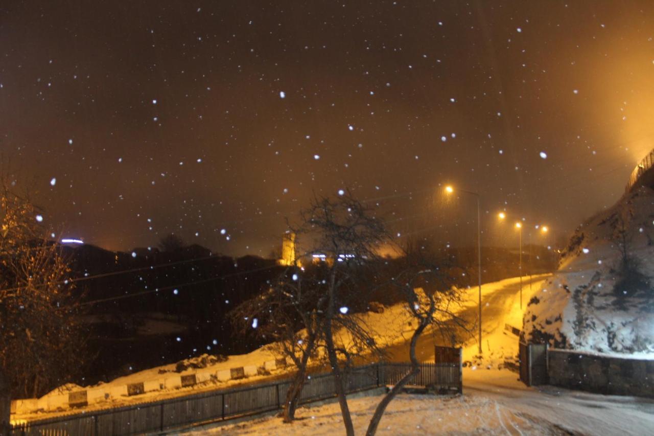 Guesthouse Alpenrose Mestia Bagian luar foto