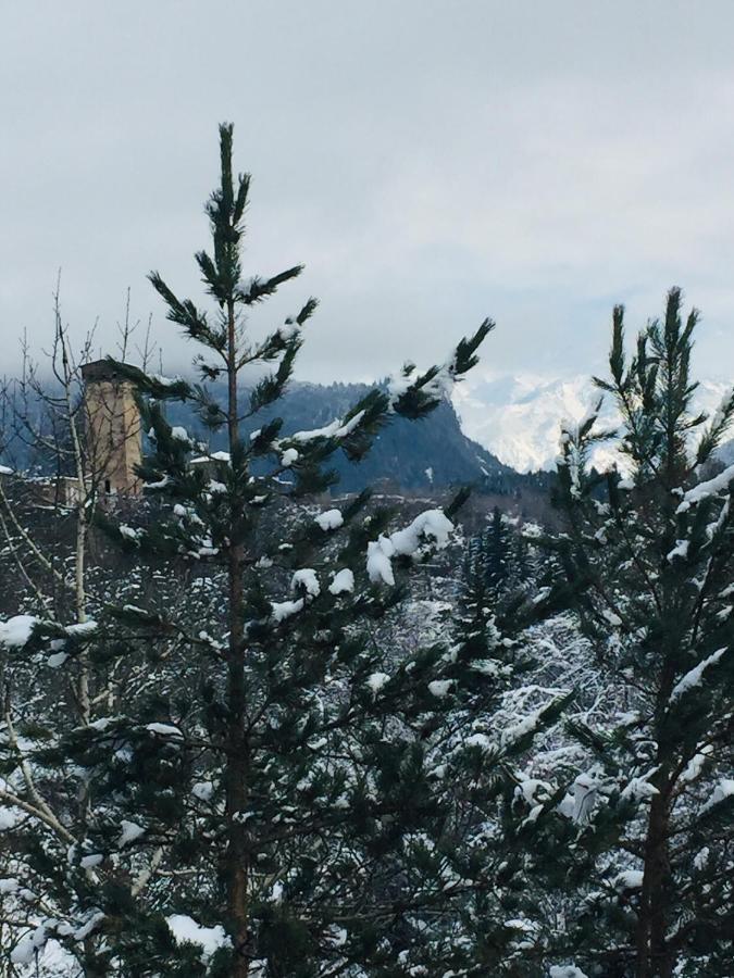 Guesthouse Alpenrose Mestia Bagian luar foto